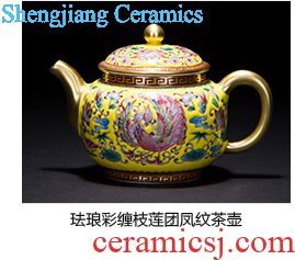Holy big cup sample tea cup hand-painted ceramic kungfu pastel lad spring square cup all hand of jingdezhen tea service