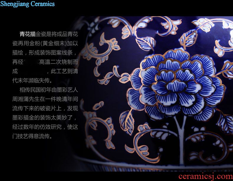 Master of jingdezhen ceramics hand-painted mesa cranes big vase vases, modern household crafts