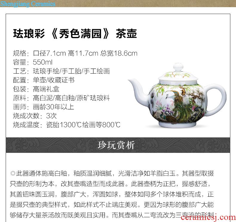 Holy big teapot hand-painted ceramic kung fu finches poetic spherical filtering teapot manual jingdezhen blue and white spirit tea sets