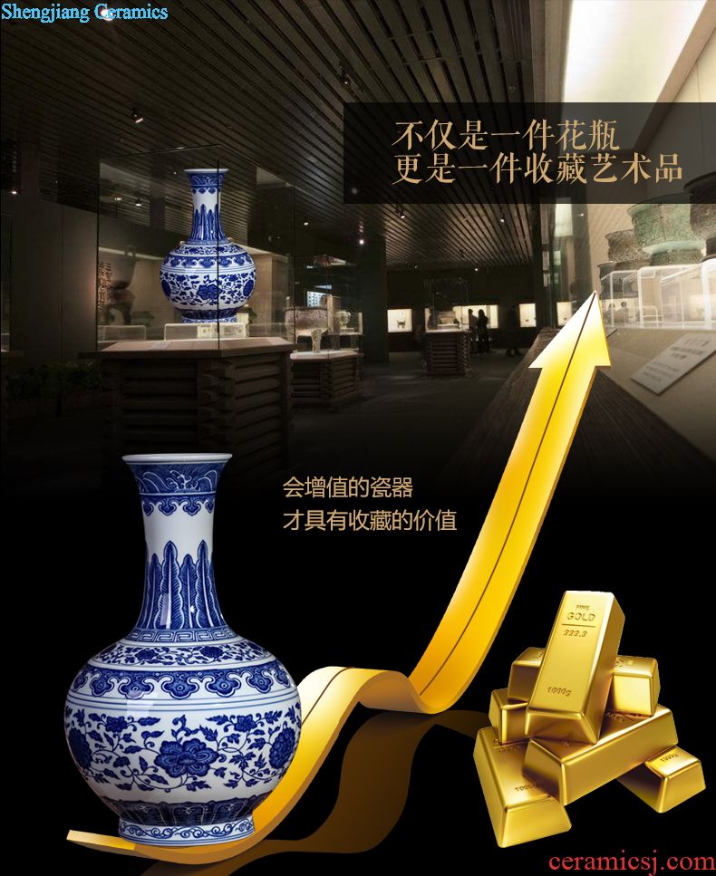 Jingdezhen ceramic vase hand-painted color porcelain ceramic vase of the masters of the birthday gift collections