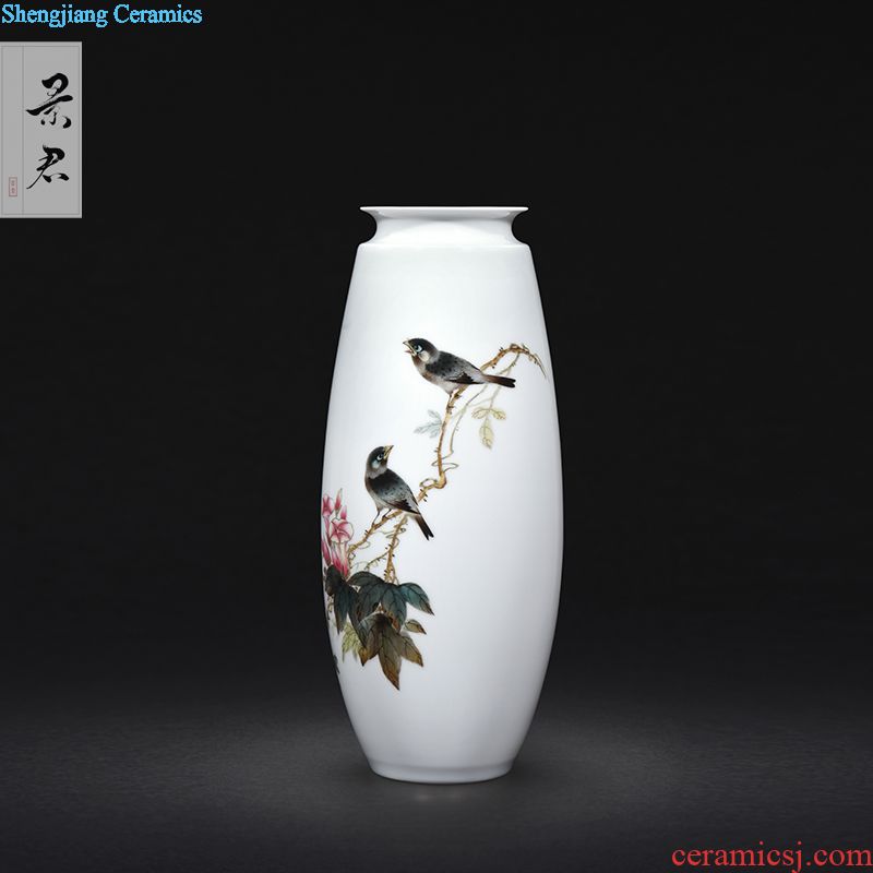 Master of jingdezhen ceramics hand-painted colored enamel Chinese vase furnishing articles sitting room porch decoration ceramics handicraft