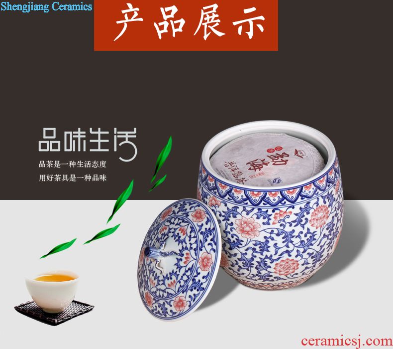 Jingdezhen ceramic POTS of tea pot, box seal storage tank of blue and white porcelain household storage POTS