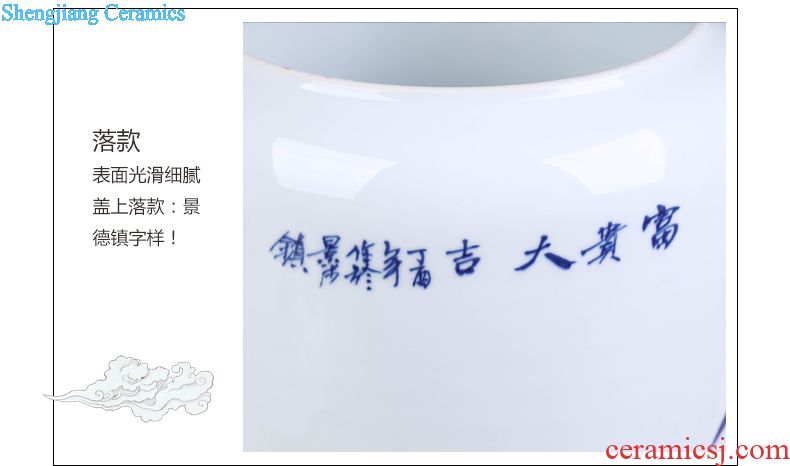 Jingdezhen ceramic vase vase the general pot of large western European large sitting room red clay furnishing articles