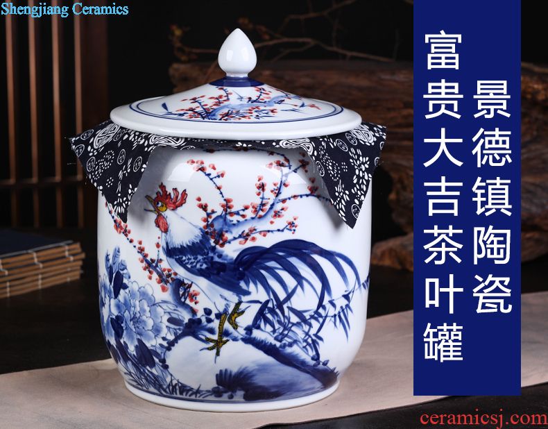 Jingdezhen ceramic vase vase the general pot of large western European large sitting room red clay furnishing articles