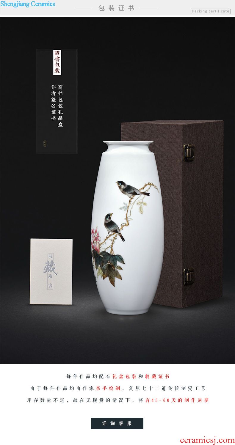 Master of jingdezhen ceramics hand-painted colored enamel Chinese vase furnishing articles sitting room porch decoration ceramics handicraft