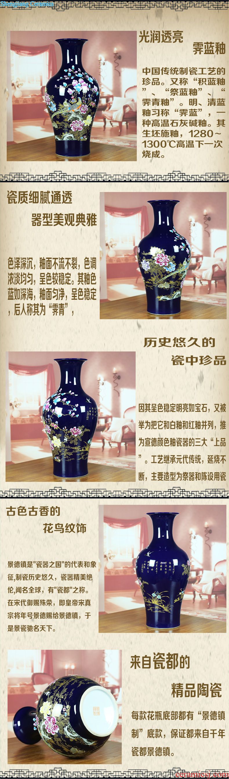 Sitting room adornment of jingdezhen ceramics enamel decorated TV ark furnishing articles of modern Chinese style of large vase