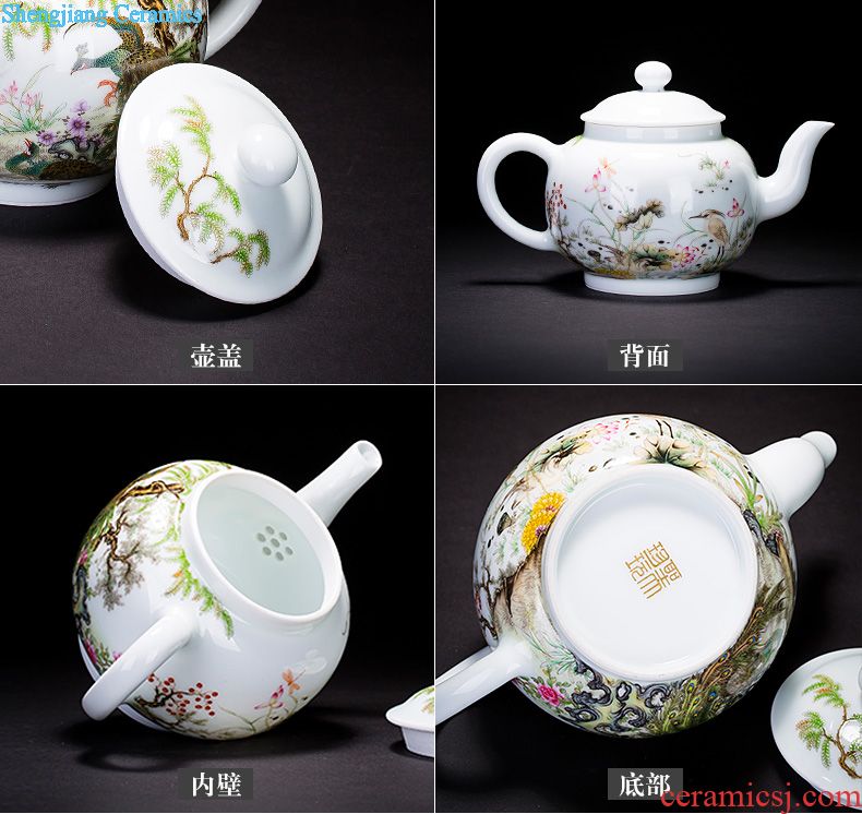 Holy big teapot hand-painted ceramic kung fu finches poetic spherical filtering teapot manual jingdezhen blue and white spirit tea sets