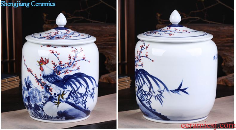 Jingdezhen ceramic vase vase the general pot of large western European large sitting room red clay furnishing articles