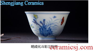 St the ceramic kung fu tea master cup hand-painted pastel landscape li Jiang Shantu sample tea cup of jingdezhen tea service