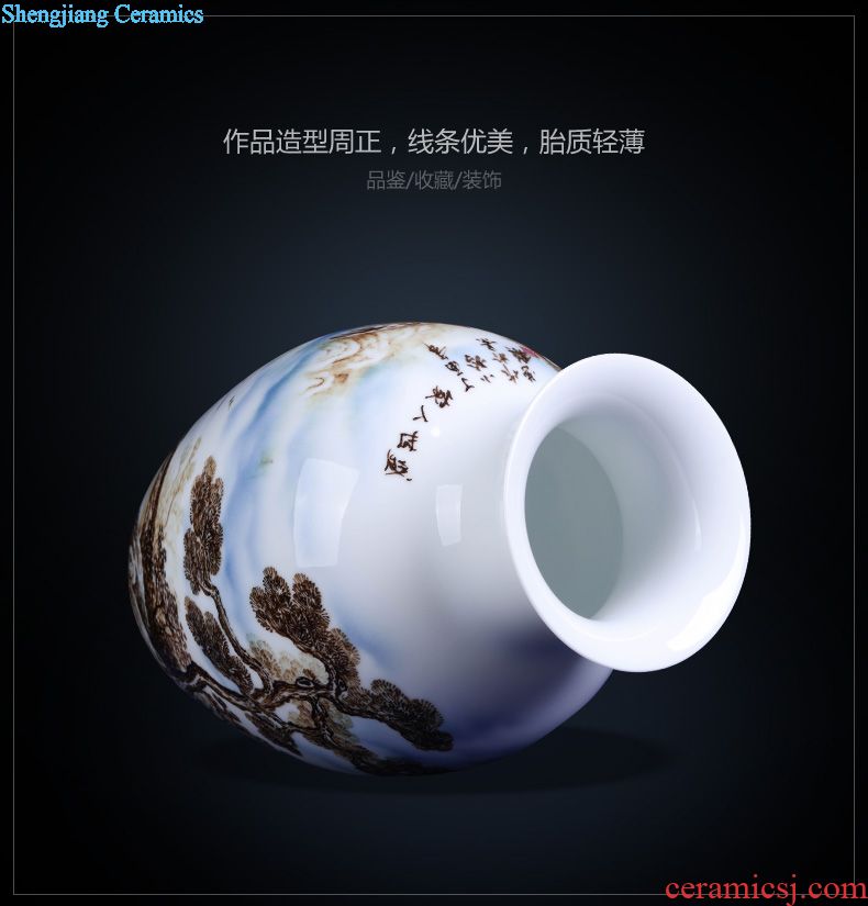 Jingdezhen ceramics imitation qing qianlong hand-painted porch decoration of Chinese style household longfeng gourd of blue and white porcelain vase