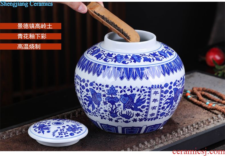 Modern Chinese jingdezhen ceramics sitting room place famous celebrity hand-painted vases, home decorations arts and crafts