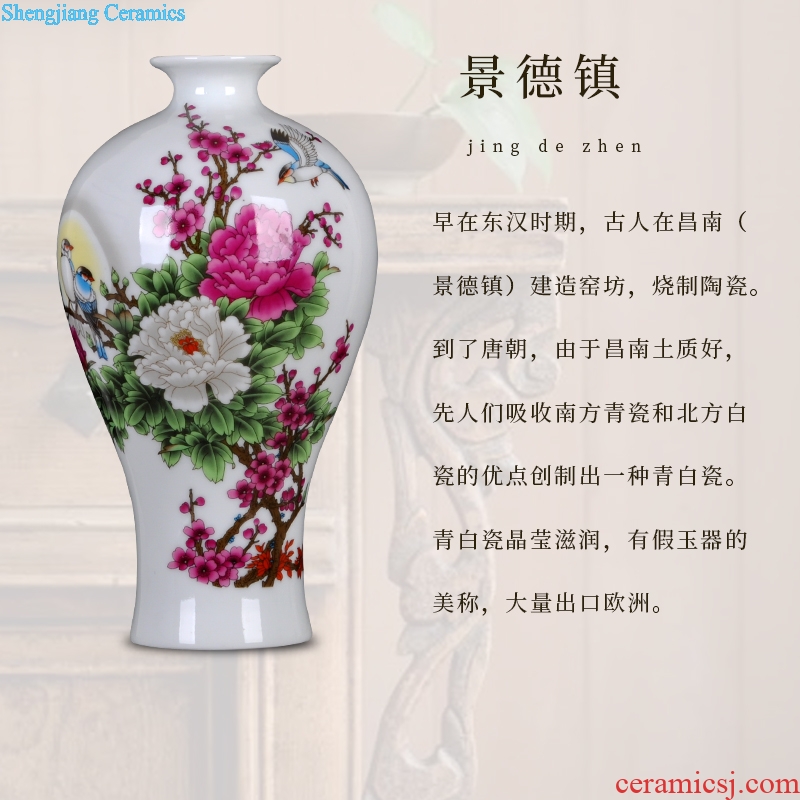 Jingdezhen ceramics vase modern home handicraft furnishing articles home sitting room adornment ornament gift