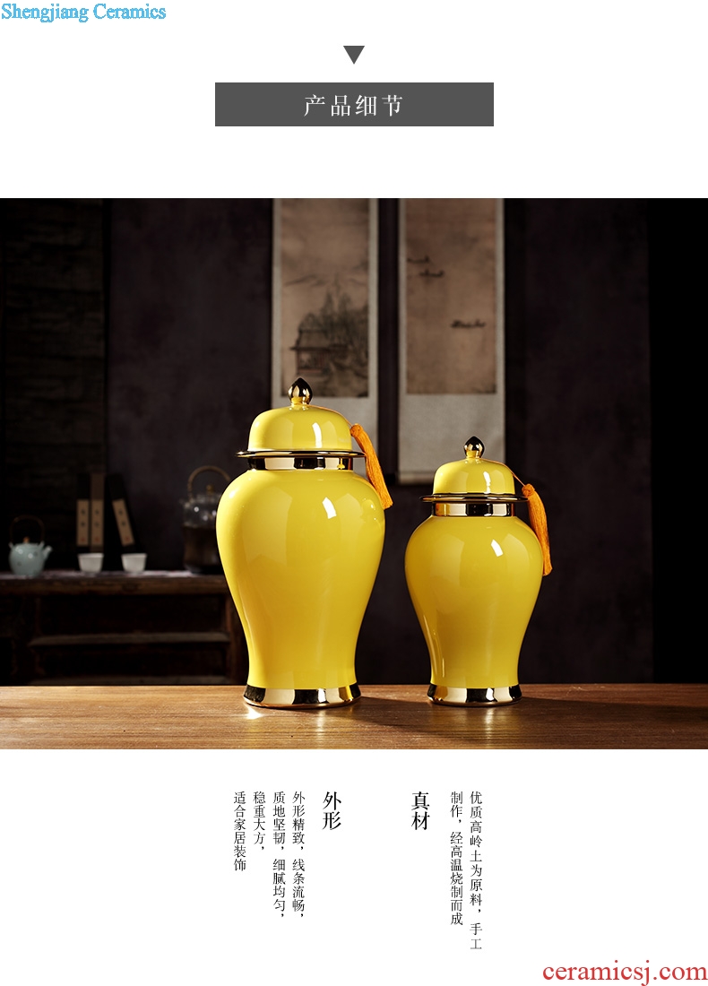 Jingdezhen new Chinese wine cabinet mesa general large vase can of the sitting room porch ceramic flower arranging feng shui furnishing articles