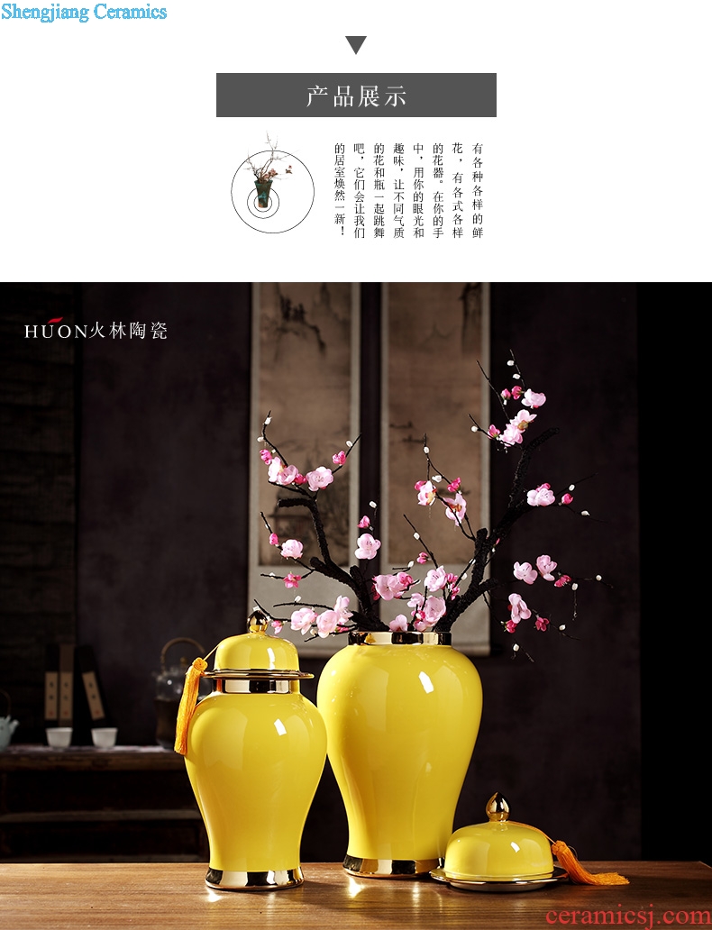 Jingdezhen new Chinese wine cabinet mesa general large vase can of the sitting room porch ceramic flower arranging feng shui furnishing articles