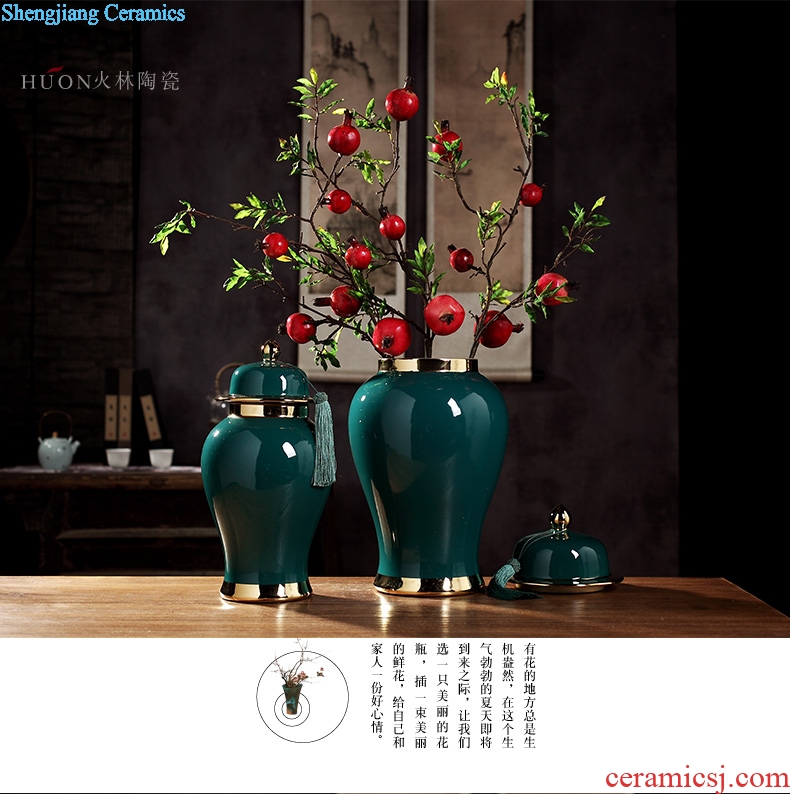 General furnishing articles of jingdezhen ceramic vase large jar of modern Chinese style living room home decoration handicraft template