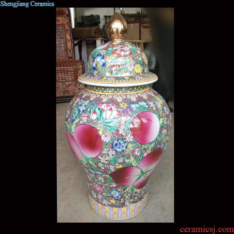 Jingdezhen general hand-painted flower porcelain jar flower flower general display porcelain ceramic xiantao pot