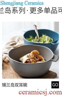 Household utensils Nordic ins ceramic plate suit salad dish dish dish beefsteak dish of flat plate