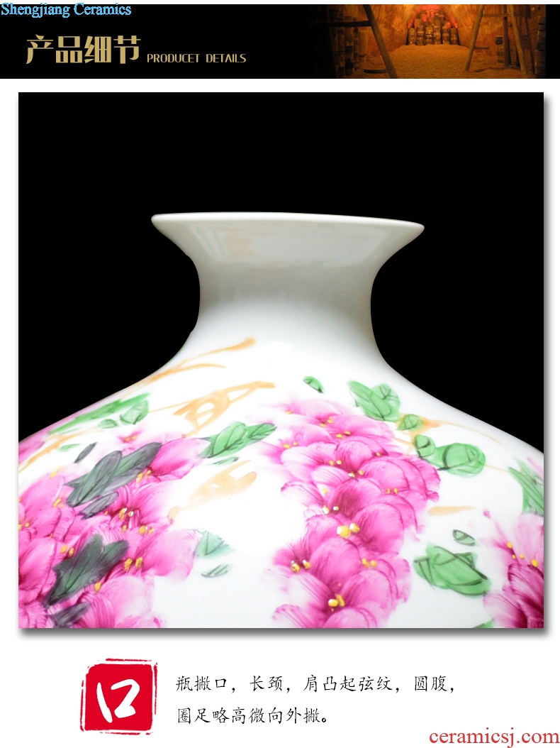 Jingdezhen ceramics vase hand-painted ceramic powder enamel celebrity celestial bottle vase modern fashionable sitting room furnishing articles