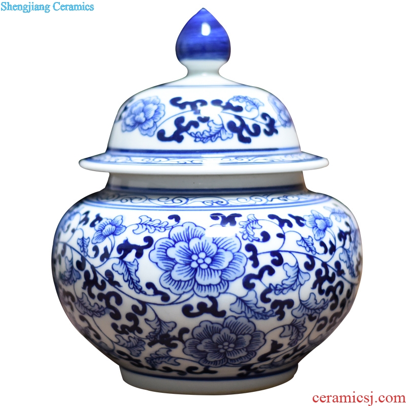 Jingdezhen ceramics vase general antique blue and white porcelain jar storage tank contemporary household adornment furnishing articles process