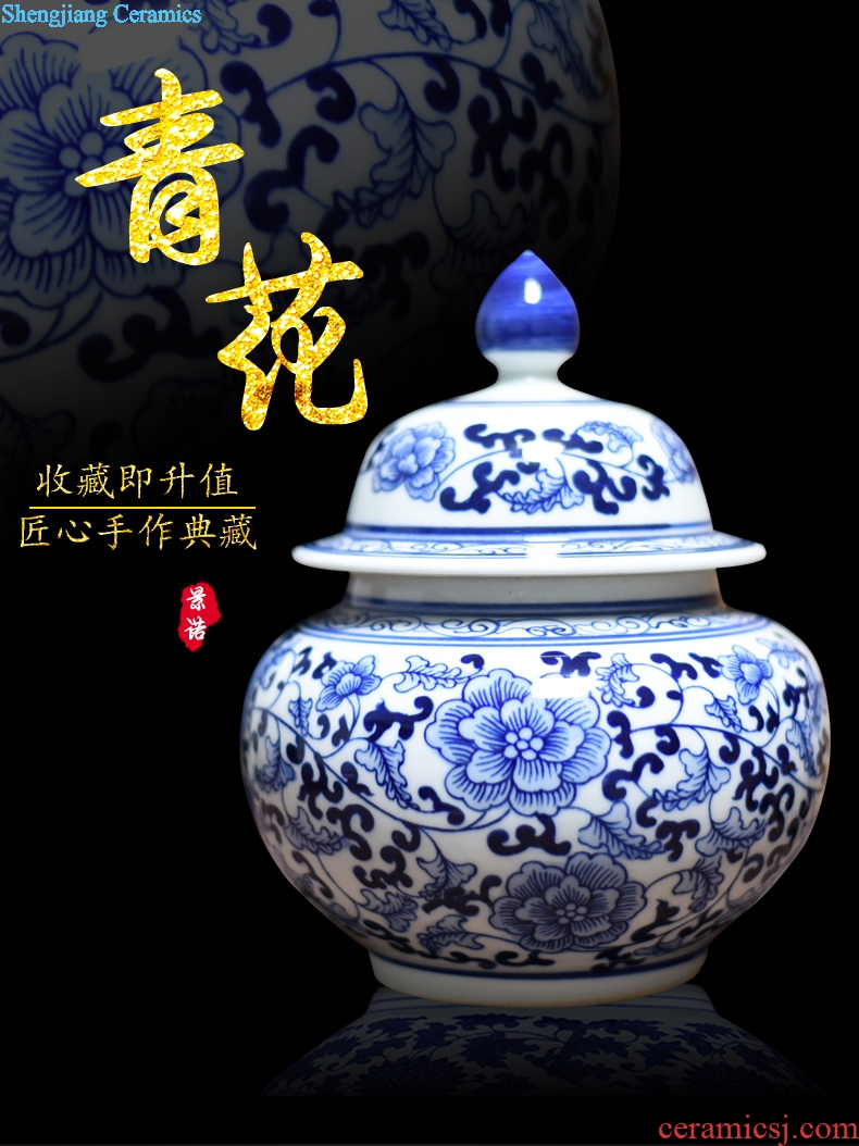 Jingdezhen ceramics vase general antique blue and white porcelain jar storage tank contemporary household adornment furnishing articles process