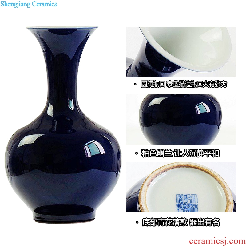 Home furnishing articles of jingdezhen ceramics decoration decoration arts and crafts antique bottles of archaize of cloisonne horn