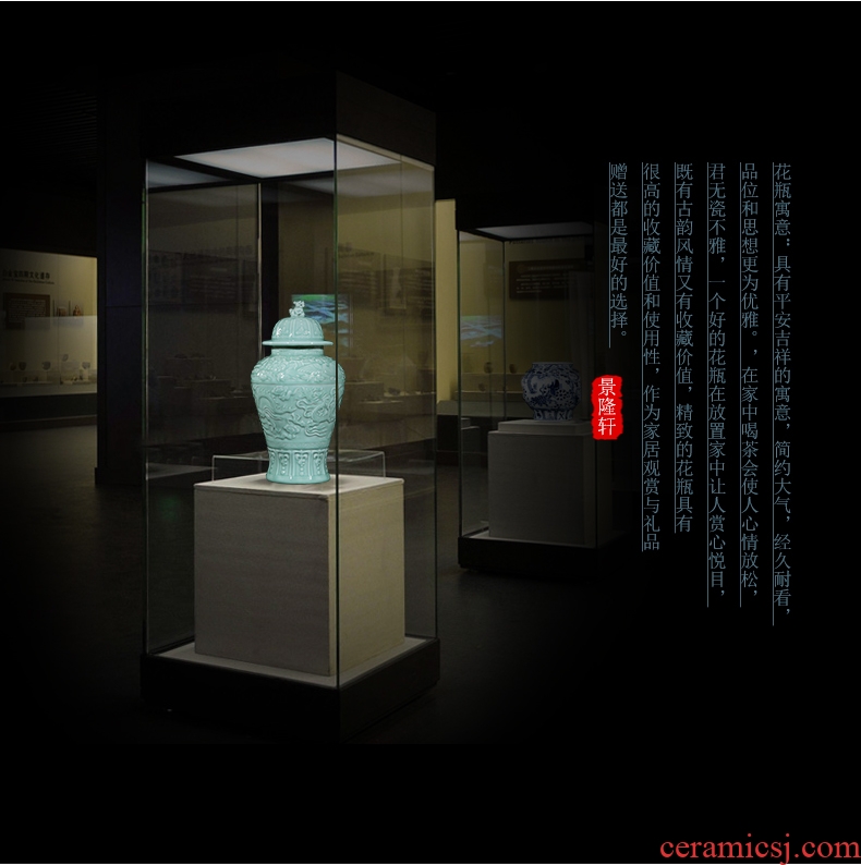 Jingdezhen ceramics dragon vase famous master hand carved new Chinese style home sitting room adornment is placed