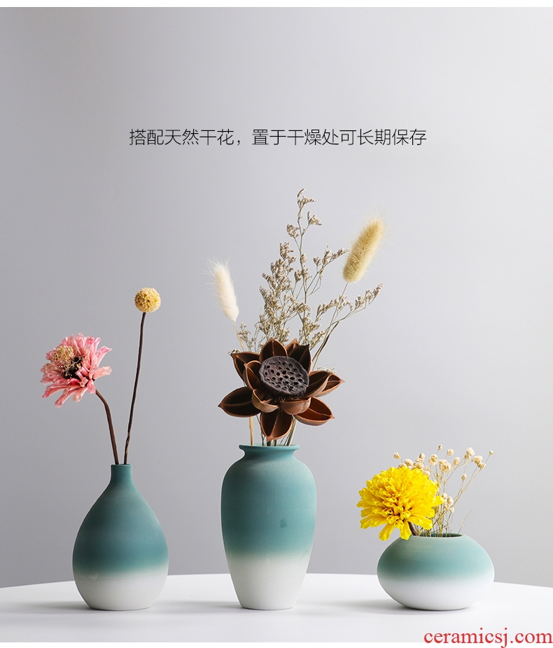 Dry flower vases, ceramic furnishing articles flower arranging implement modern northern small pure and fresh household table sitting room TV cabinet decoration
