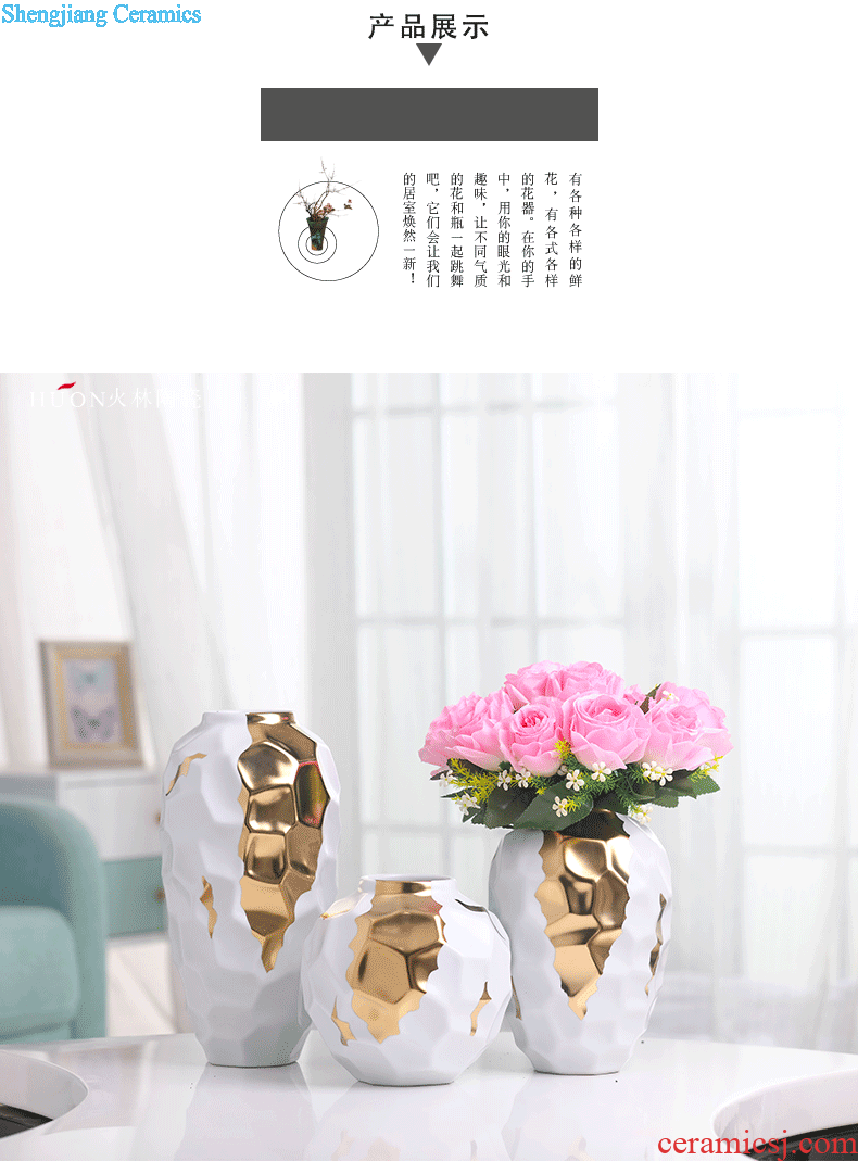 Dried flower vase Nordic light ceramic creative luxury white contracted sitting room of all over the sky star TV ark decoration flower arranging furnishing articles