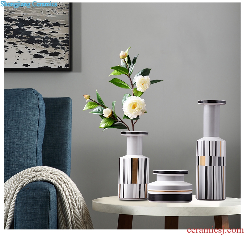 Tang dynasty, modern household contracted abstract ceramic vase furnishing articles living room table dry flower arranging flowers hydroponics ornaments