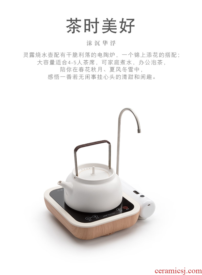 Mr Nan shan ling Lou kettle household electrical TaoLu boiled tea ware ceramic kung fu tea teapot tea set