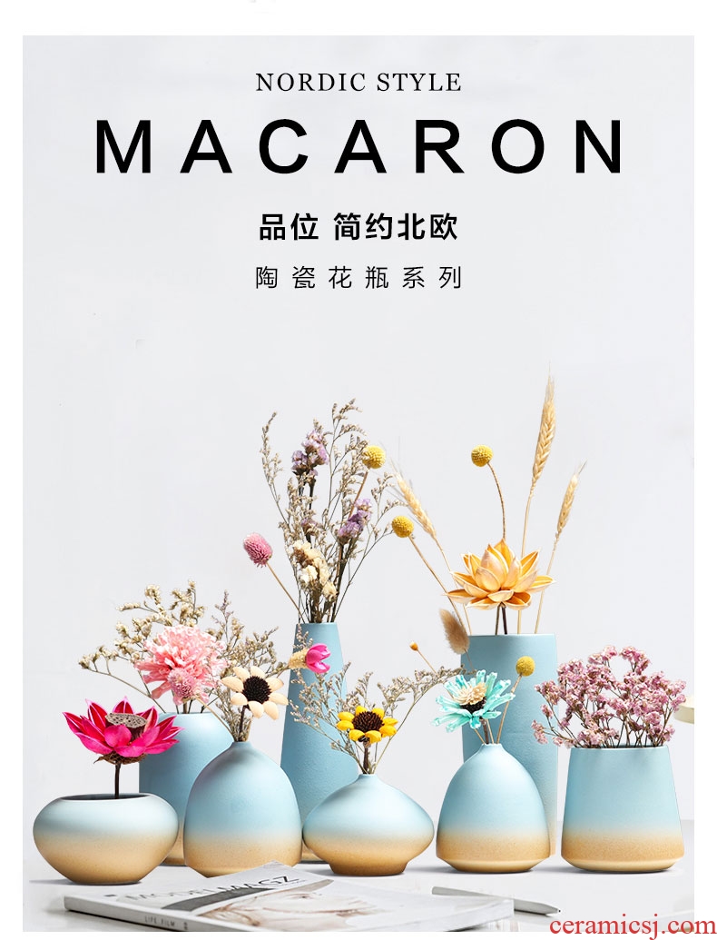 Nordic ceramic floret bottle ins dried flower adornment flower arranging creative household act the role ofing is tasted furnishing articles contracted and pure and fresh the living room
