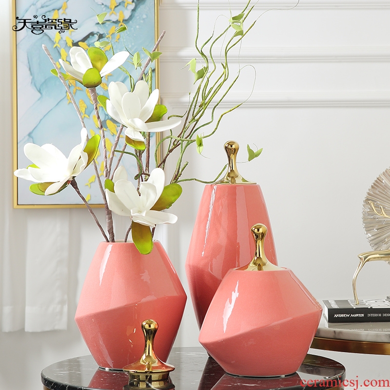 Jingdezhen vase Nordic ceramic furnishing articles contemporary and contracted sitting room TV ark porch decoration creative household act the role ofing is tasted