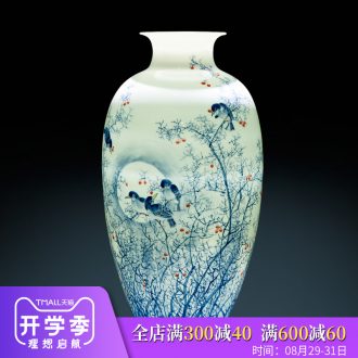 Master of jingdezhen ceramics pure hand draw Chinese blue and white porcelain vase furnishing articles Chinese wind sitting room porch decoration