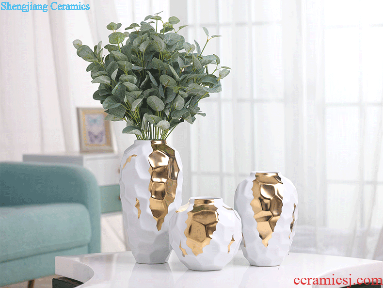 Dried flower vase Nordic light ceramic creative luxury white contracted sitting room of all over the sky star TV ark decoration flower arranging furnishing articles