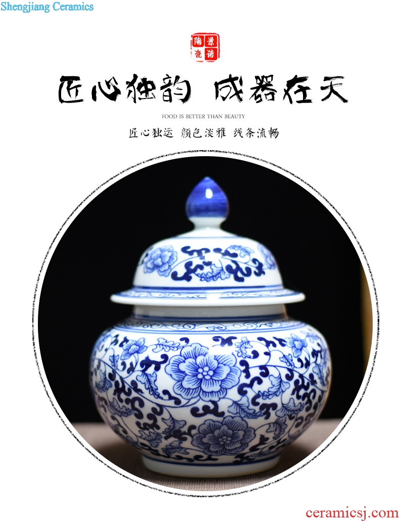 Jingdezhen ceramics vase general antique blue and white porcelain jar storage tank contemporary household adornment furnishing articles process