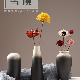Chinese floret bottle zen retro porch place the flower flower arranging exchanger with the ceramics home sitting room TV ark adornment