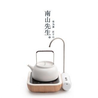 Mr Nan shan ling Lou kettle household electrical TaoLu boiled tea ware ceramic kung fu tea teapot tea set