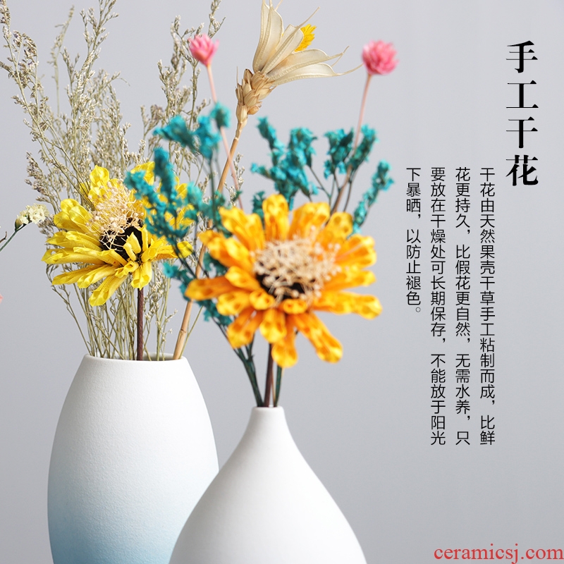 Manual dry flower ceramic floret bottle place flower arranging device contracted and contemporary sitting room is pure and fresh and TV cabinet table decorations