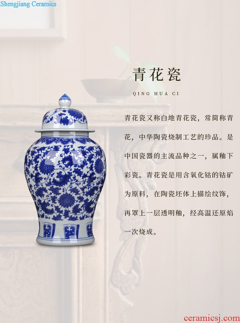 New Chinese style classical jingdezhen ceramics archaize home sitting room porch vase penjing art decoration