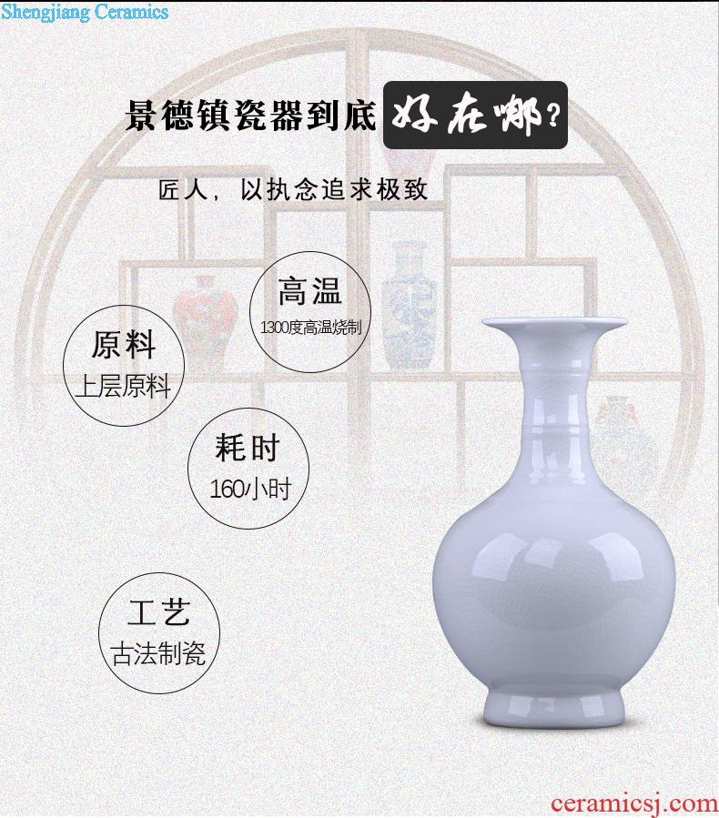 Jingdezhen porcelain ceramic vase white ice crackle borneol ceramic sitting room of Chinese style household adornment furnishing articles