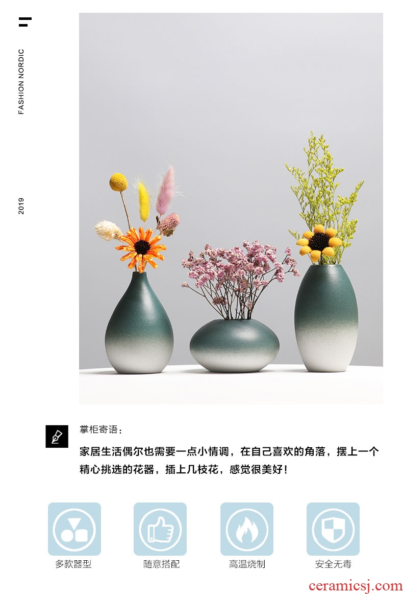Small pure and fresh and contemporary and contracted sitting room creative flower arranging TV ark furnishing articles home decoration ceramic dry flower flower bottles