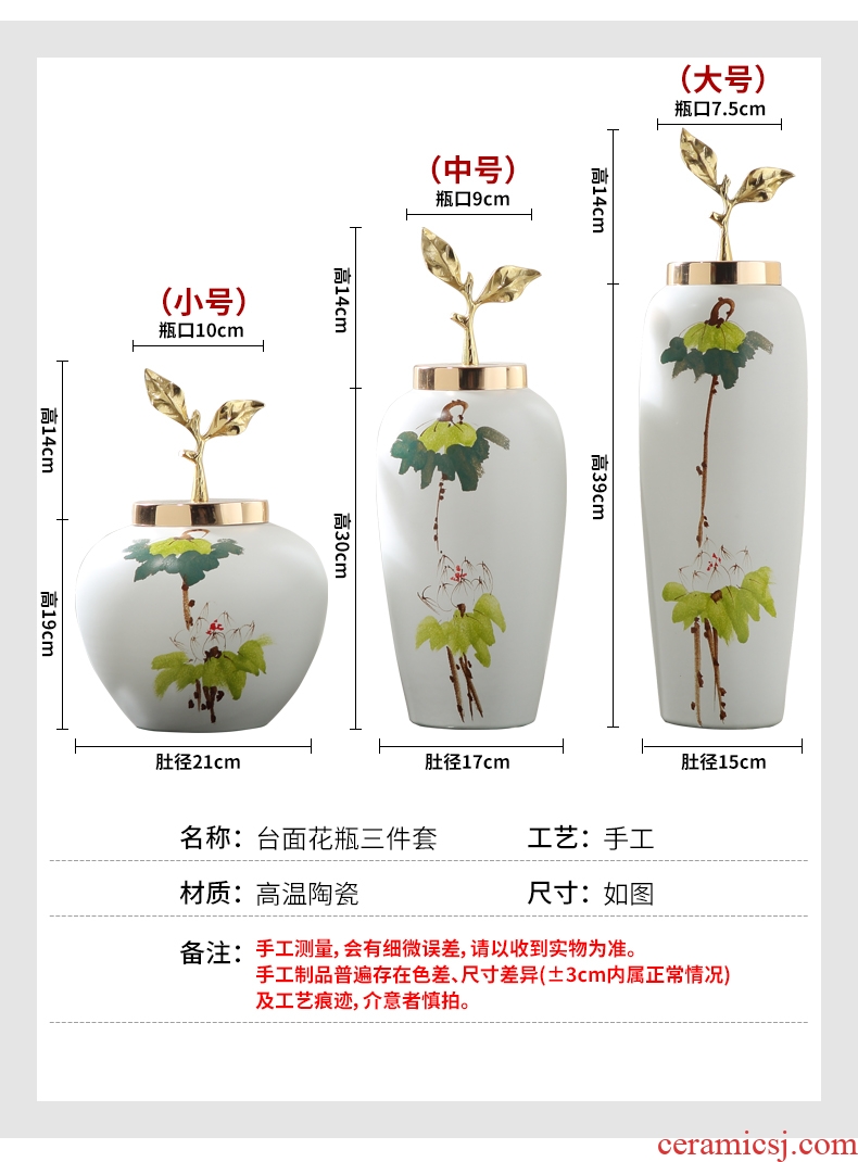 The new Chinese vase furnishing articles ceramic hand-painted vases desktop arranging flowers sitting room adornment table, TV ark furnishings