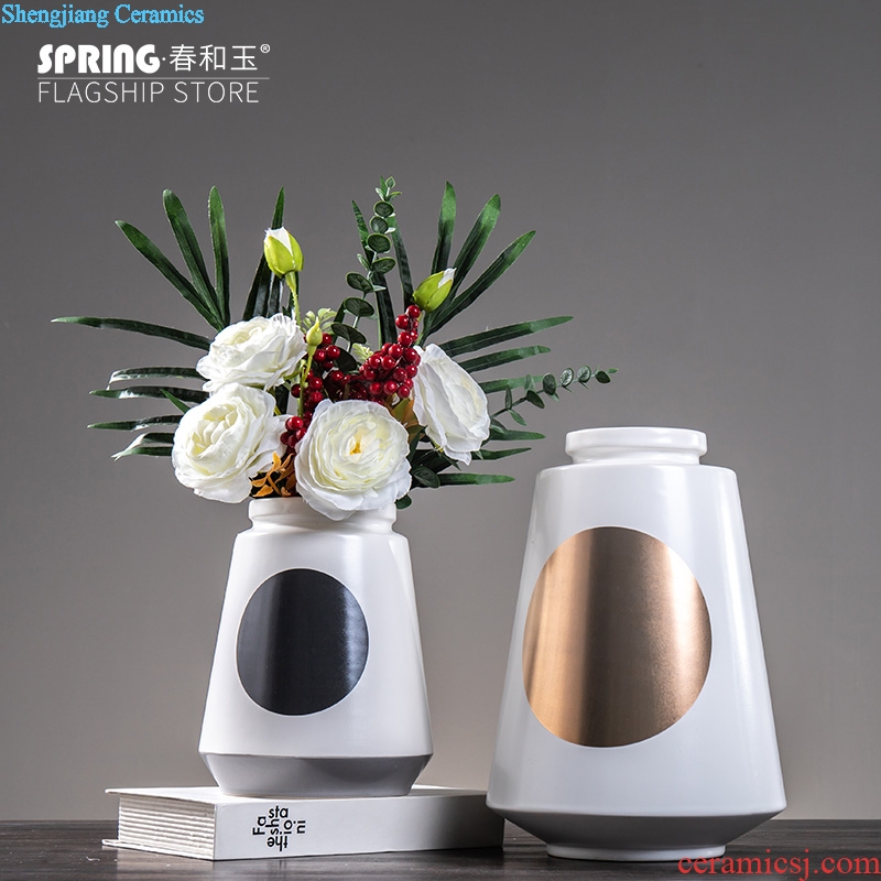 Nordic household act the role ofing is tasted, contemporary and contracted desktop furnishing articles creative ceramic vase sitting room adornment fashion flower arrangement