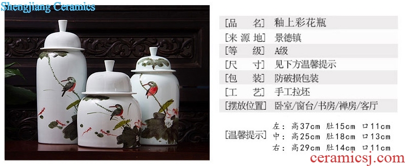 Clearance of new Chinese TV ark hand-painted Chinese jingdezhen ceramic vase the sitting room porch home furnishing articles
