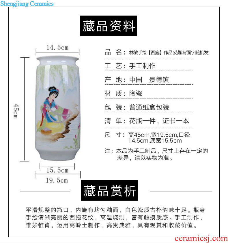 Master hand-drawn characters famous masterpieces famille rose porcelain vase of jingdezhen ceramics painting the living room is placed