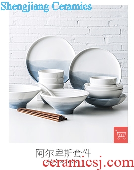 Million jia japanese-style steak combination dish bowl suit creative household tableware ceramic dish dish western pasta dish plates