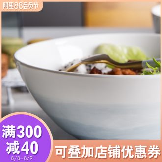 Ijarl million jia rainbow noodle bowl creative household ceramics tableware rice bowls bowl large salad was nice bowl