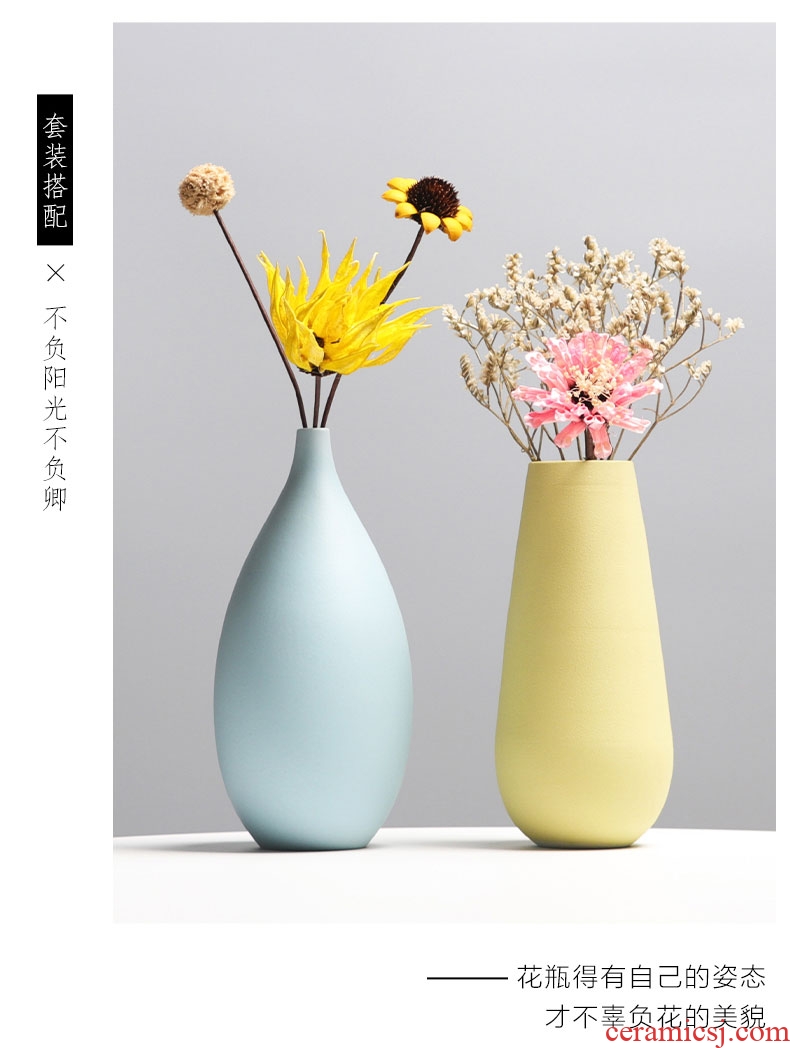 Craft ceramics dried flower vase furnishing articles flower arranging small pure and fresh and contracted and contemporary sitting room TV cabinet table decorations