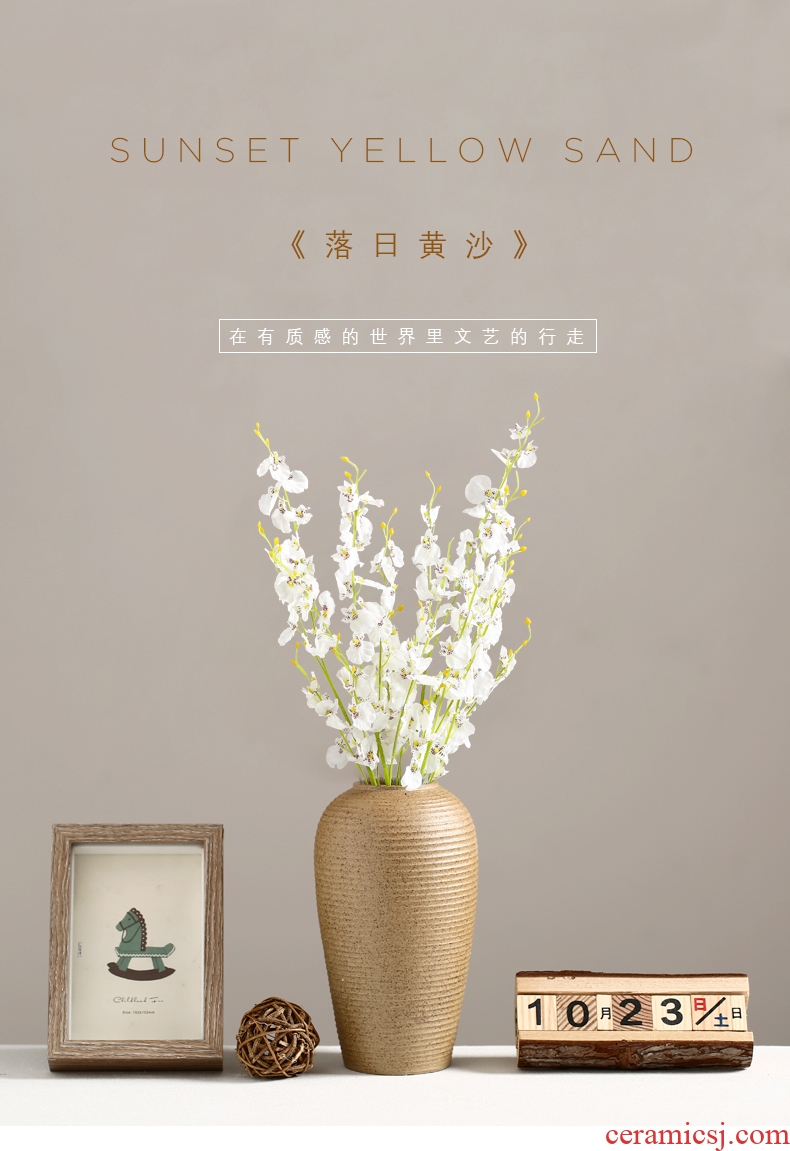 Mesa of rural contracted and contemporary ceramic flower vase dry flower is placed the sitting room TV cabinet table home decoration