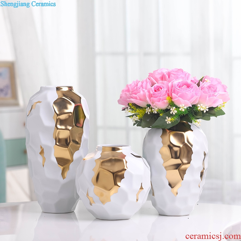 Dried flower vase Nordic light ceramic creative luxury white contracted sitting room of all over the sky star TV ark decoration flower arranging furnishing articles